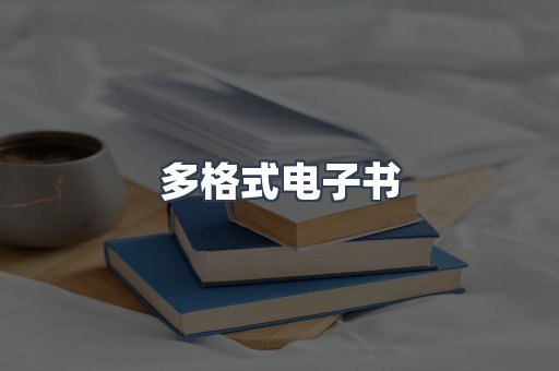 多格式电子书